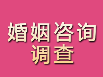 乐安婚姻咨询调查